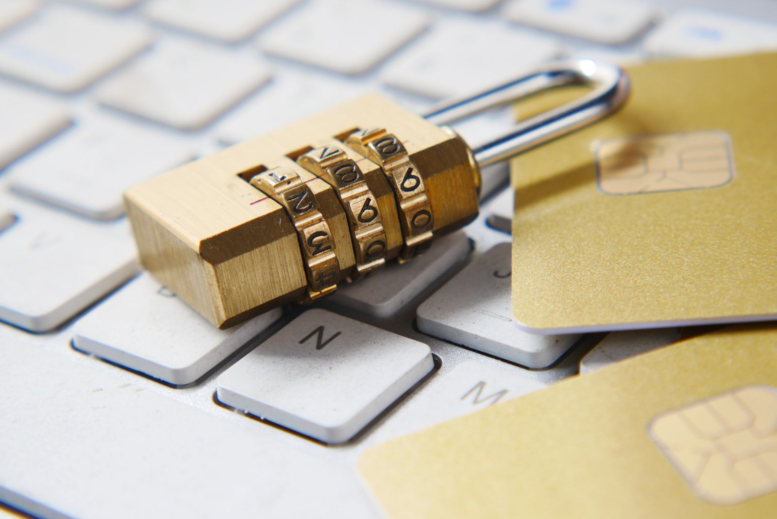 Día internacional de la ciberseguridad: 5 tips de respaldo de datos empresariales